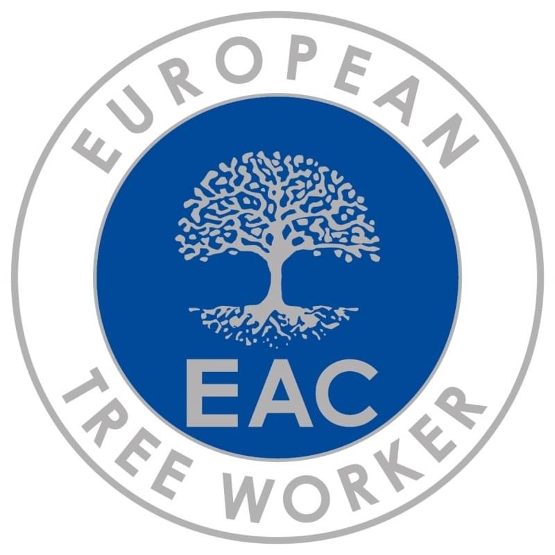 European tree worker in Lüdenscheid