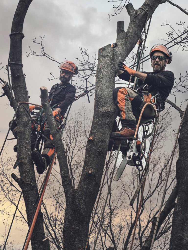 Baumpflege Team Lüdenscheid Über Uns